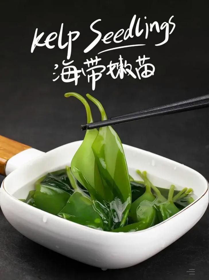 霞浦:小苗苗长成海产新贵