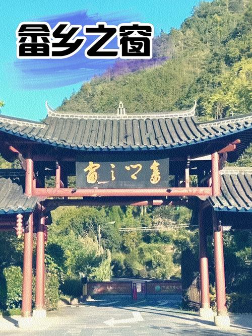 高质量发展调研行|浙江丽水景宁:一片叶子富了一方百姓