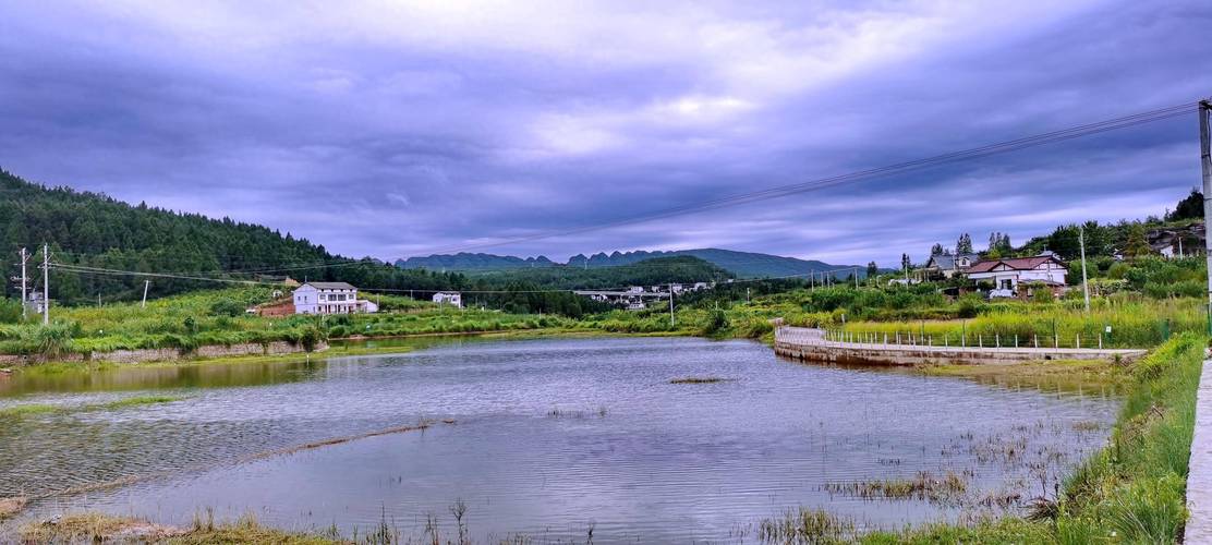 (乡村行·看振兴)福建宁化:“多肉经济”热,农旅融合兴