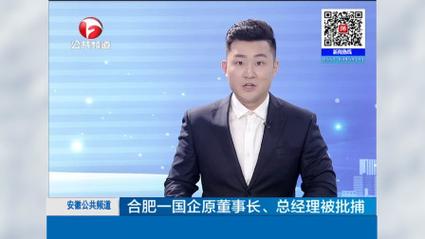 安徽一国企常务副总经理,被查