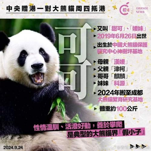 🐼大熊猫“安安”“可可”抵港 将在香港海洋公园安家啦!