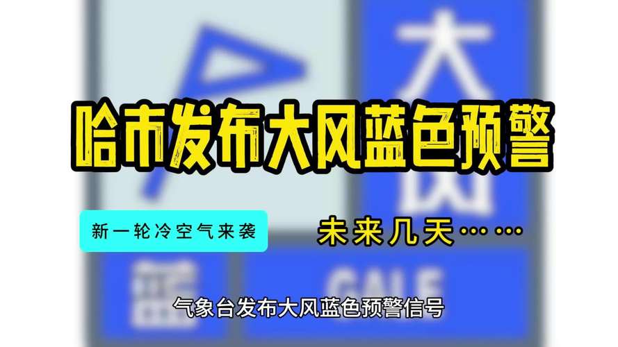 黑龙江省绥芬河市发布大风蓝色预警_2