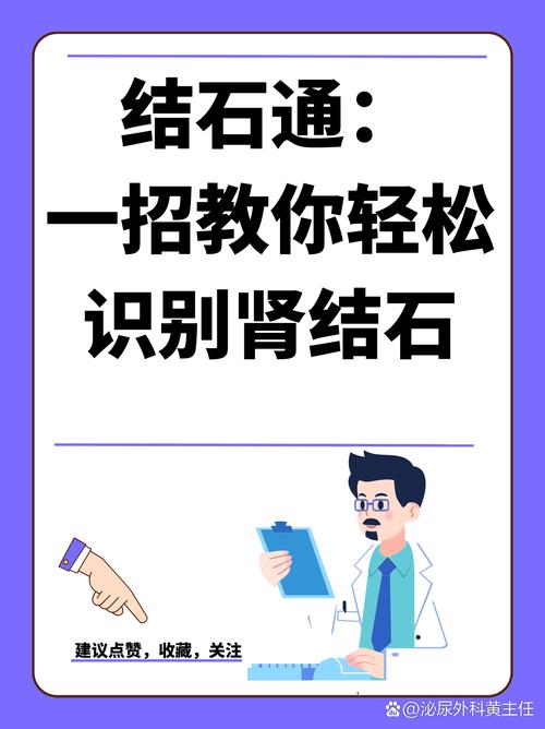 防止结石,肾脏里有群“清道夫”