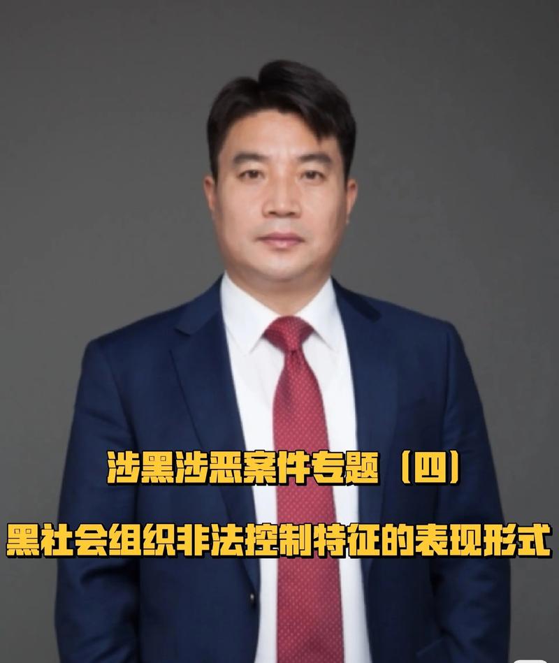 2023年以来亳州市共侦办涉黑涉恶案件9件