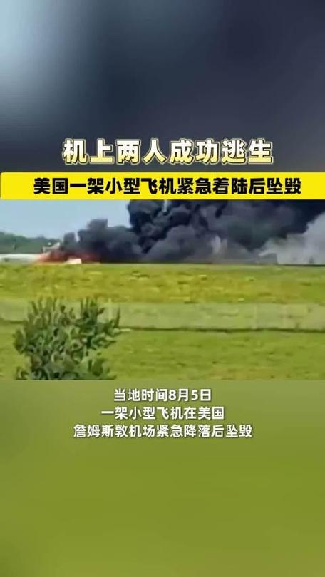 美国加州一小型飞机坠毁致5人遇难