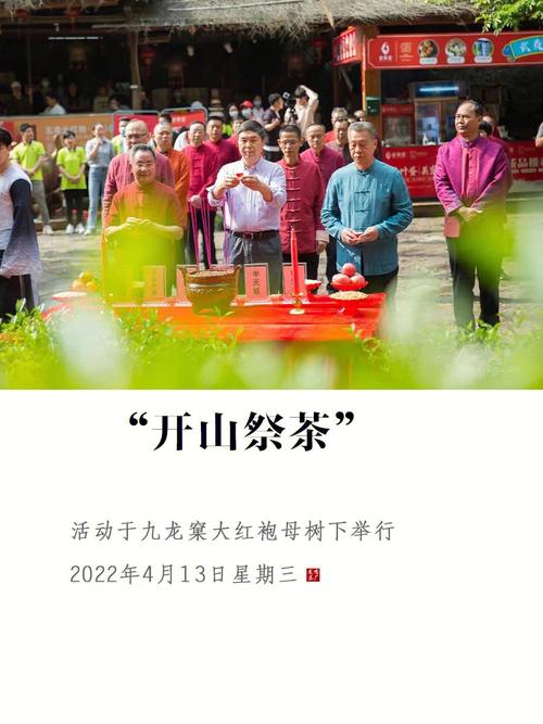 谷雨采茶忙!福建武夷山“喊山祭茶”开始啦