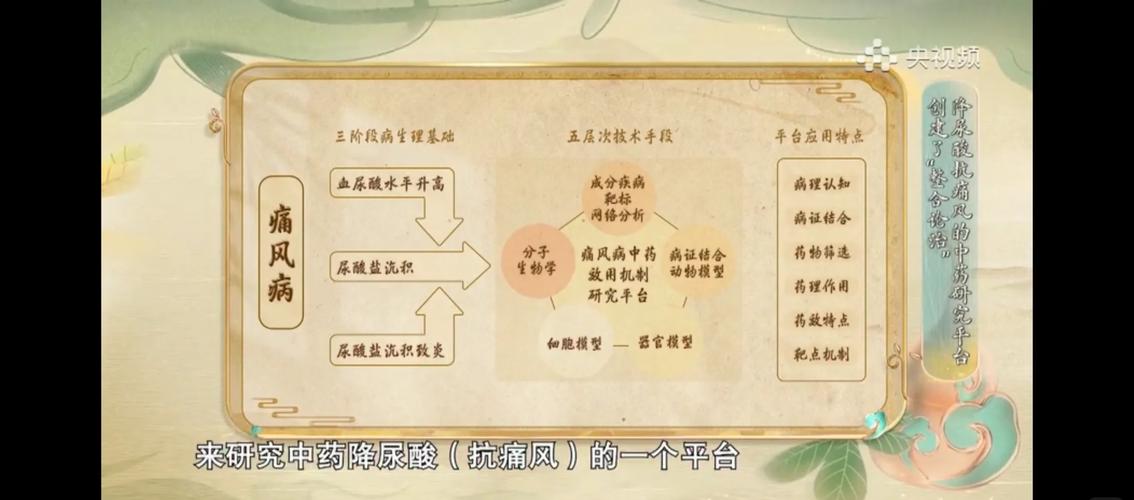 中医疗法受欢迎 中国医生守护老挝“医疗宝库”