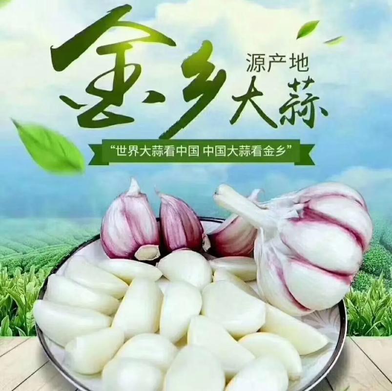 (乡村行·看振兴)内蒙古东部“大蒜之乡”:“气候产品”十里飘香