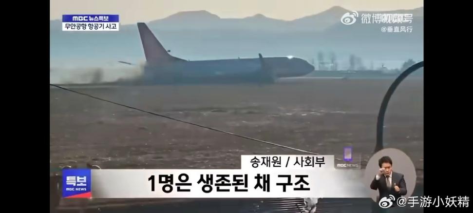 韩国国土交通部:推测事故由飞机撞上鸟群引起