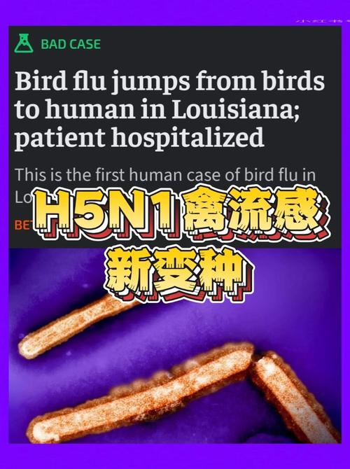 美国科罗拉多州新增两例人感染禽流感病例