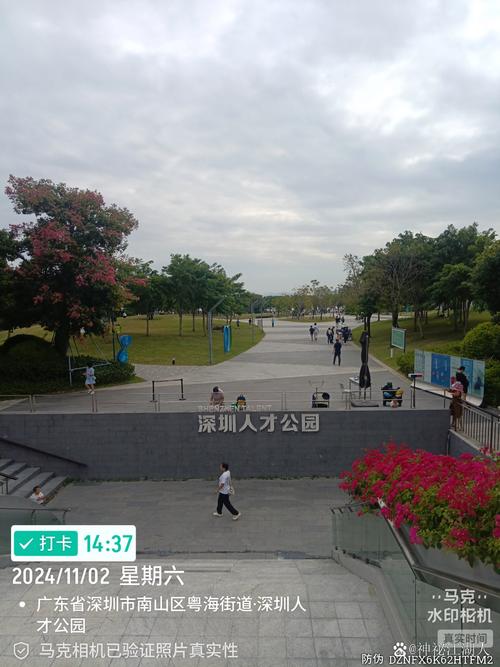 见缝插针建社区公园 锚固城市新生态格局 1320个!深圳公园数量又刷新了