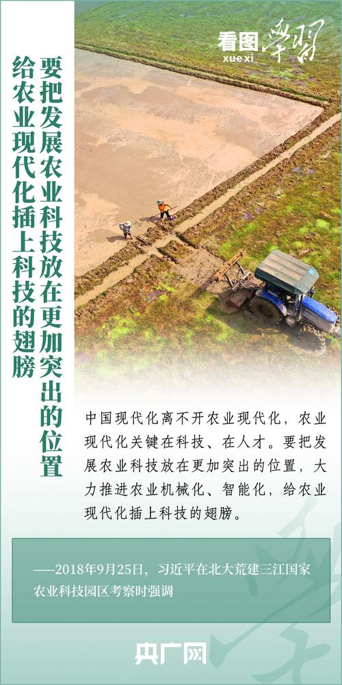 良种良机良法护航夏粮丰收 筑牢粮食安全“压舱石”