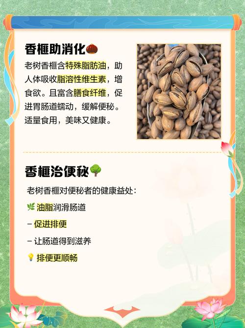 香榧千年 香飘万里(古树的故事)