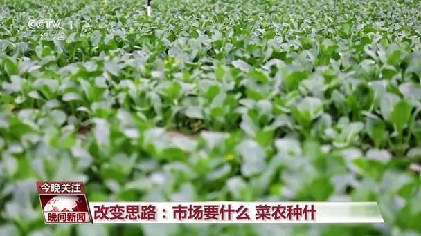 春天里的中国 万象“耕”新进行时