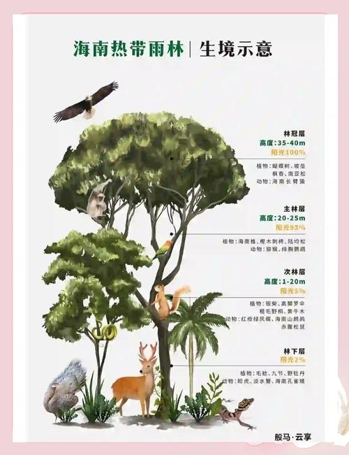 海南周刊|多彩雨林 不止青绿