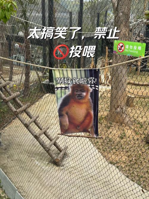 “投喂财运-1”“爱吃自己吃”,一动物园标语引争议,园方回应
