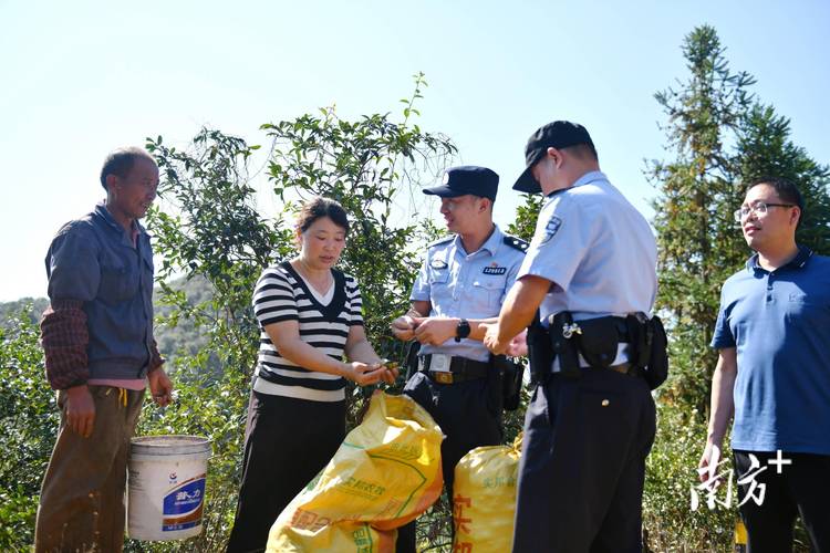 王贤代表:依法打击电诈犯罪,让群众更有安全感
