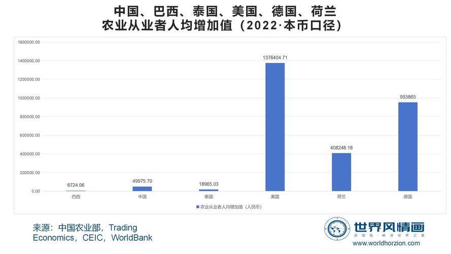 粮农组织:11月食品价格指数创2023年4月以来新高