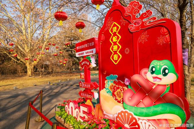 元宵节到北京野生动物园 与蛇年顶流拍张合影