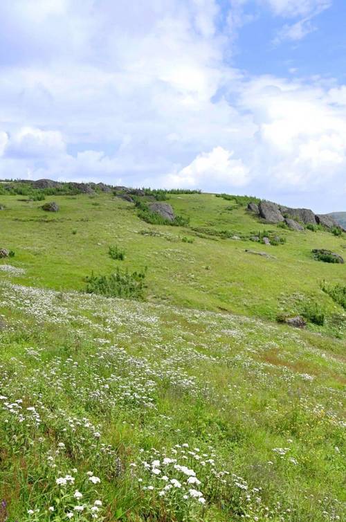 2024年“清洁十峰 洁净山野 爱我昆明”户外登山环保行动在云南嵩明最高峰举行