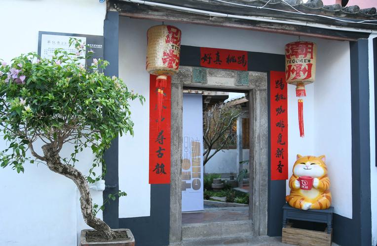 “小透明村”花成景 湖南洪江“花卉下楼”打造和美乡村