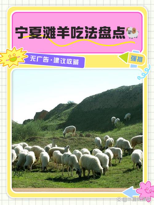 驱“碱”化“盐”让戈壁滩成为饲草基地 “柴达木盐羊”走上亚运餐桌
