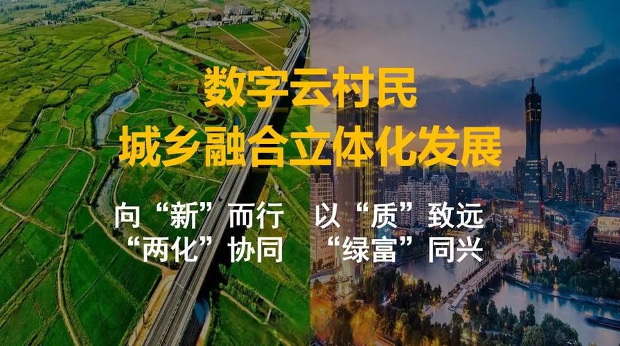 (走进中国乡村)全链路数字化 中越边境养猪小镇焕新生