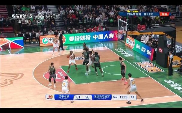 篮球——CBA常规赛:辽宁本钢胜深圳马可波罗