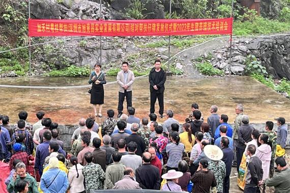 粤桂协作 助力增收