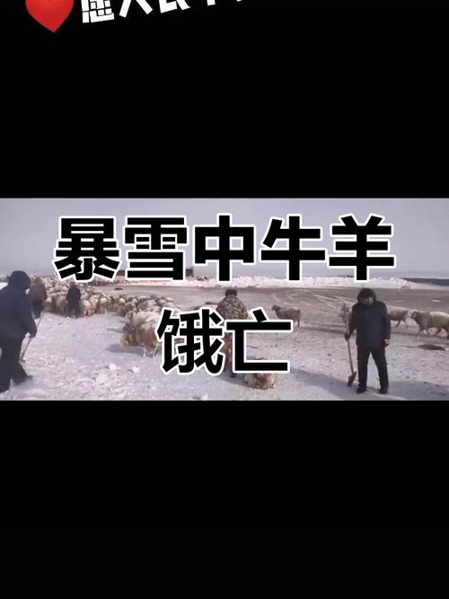 阿富汗萨尔普勒省强降雪已造成5人死亡