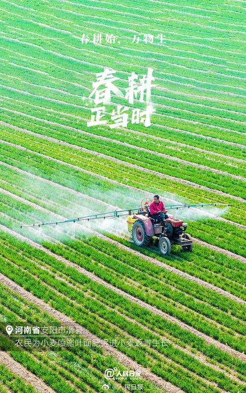 耕耘在春天里——各地抢抓农时开展春耕备耕