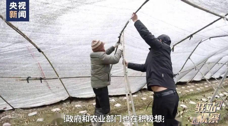 黑龙江林甸县:投入上亿元农业设施丢的丢坏的坏……