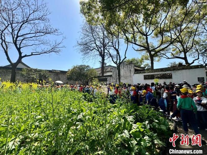 跟着“课本”踏春 鲁迅笔下百草园“童趣满园关不住”