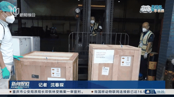 货值超2000万元!20余批次消博会展品顺利进境通关