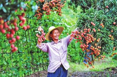 珠海:三千“青春合伙人”暑期浸润乡村