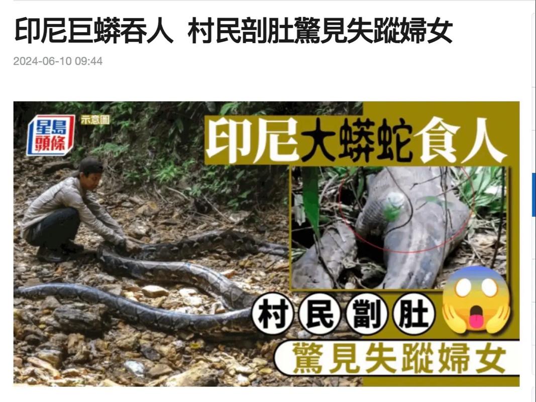 印尼74岁老太被蟒蛇吞入吐出身亡!家属找到4米长蟒蛇将其杀死