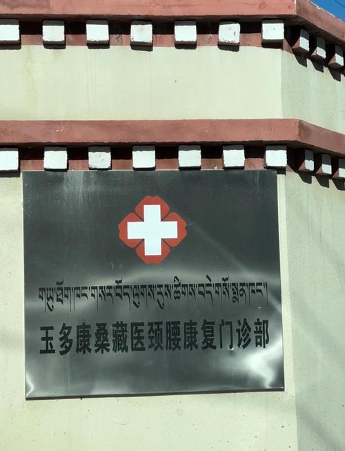 西藏:提高卫生健康水平 400多种较大疾病不出藏就能治疗