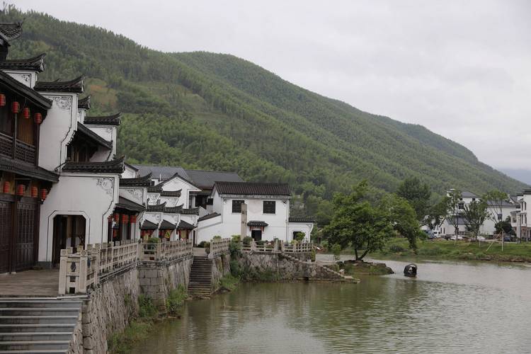 高质量发展调研行|在浙江桐庐,品味乡村美学