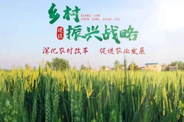 (乡村行·看振兴)吕梁山归巢游子反哺家乡:小杂粮种出“新天地”