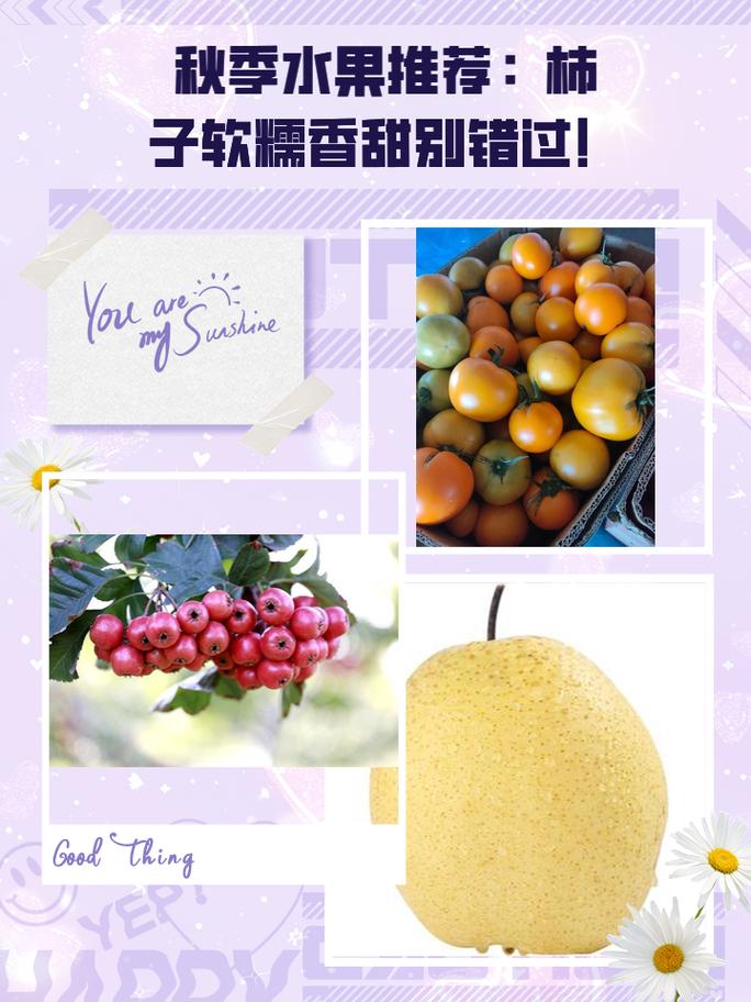 秋季水果香甜 吃对了才会健康