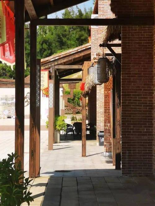 (走进中国乡村)广东电白疍家小渔村催热“美丽经济”