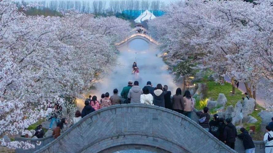 清明节假期江苏“春日经济”热力十足