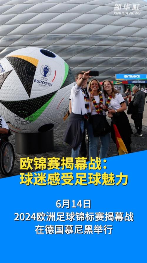 足球——欧锦赛揭幕战:球迷感受足球魅力
