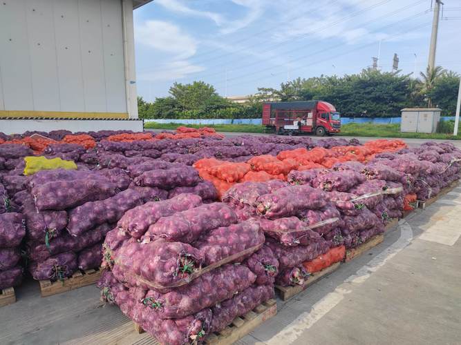 量足价稳!海口市菜篮子集团已储备4000吨以上蔬菜应对台风“派比安”