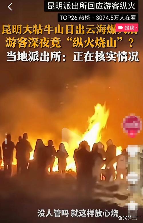 云南一男子为发泄情绪放火烧山 已被依法采取刑事强制措施