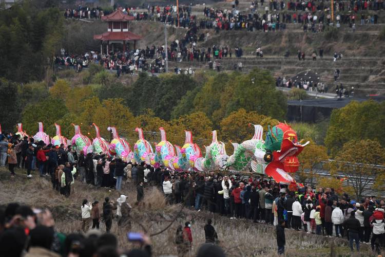 (新春走基层)福建连城:客家“拔龙”闹新春