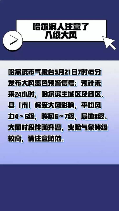 黑龙江省龙江县发布大风蓝色预警_7