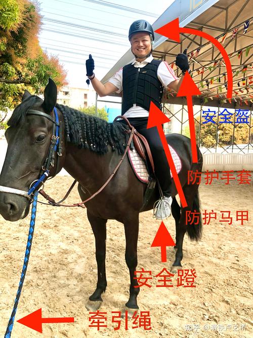 河南荥阳通报“男孩骑马被拖行身亡”:涉事马主被采取刑事强制措施