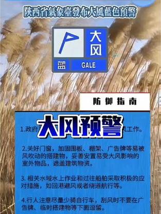 陕西省蒲城县发布大风蓝色预警_6
