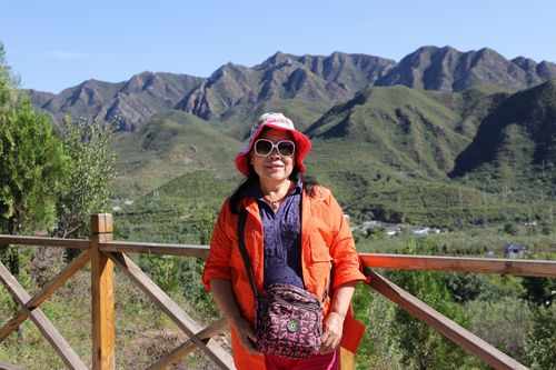 黑龙江:玉树琼花迎宾朋